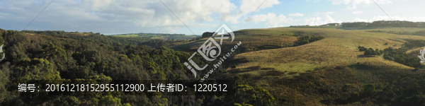 在Mornington半島Hills
