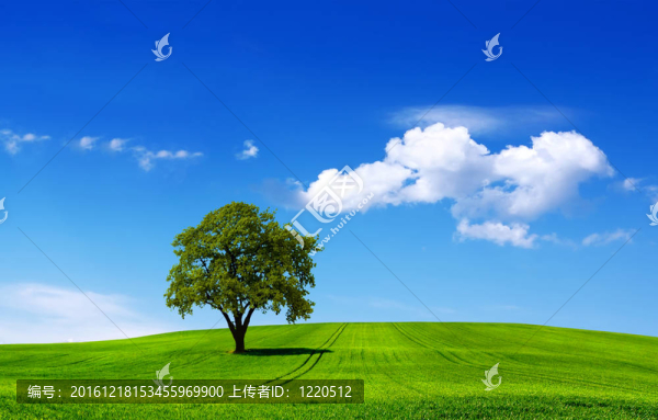 生態(tài)景觀