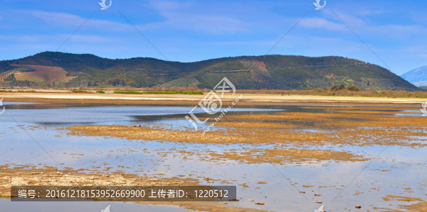 希臘大沼澤區(qū)