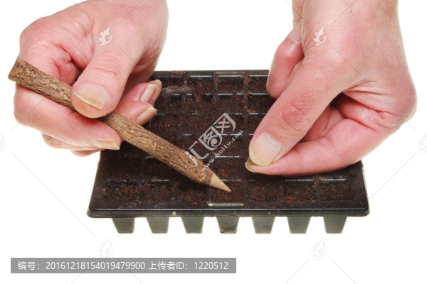 種子種植