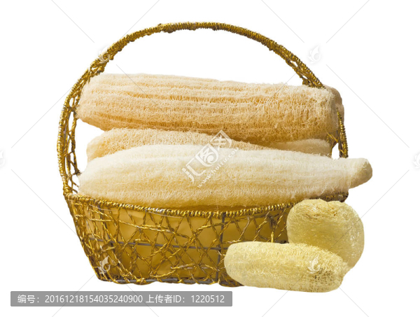 lloofah,SPA分離