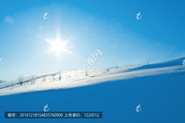 雪的太陽