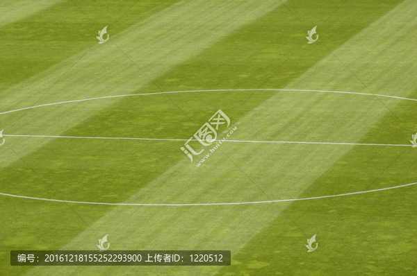 足球Field,Grass