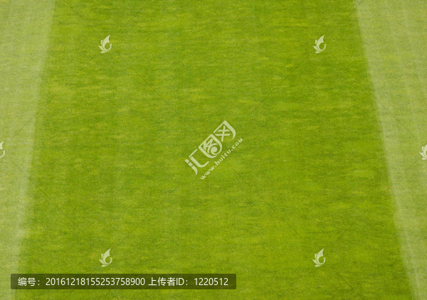 足球Field,Grass