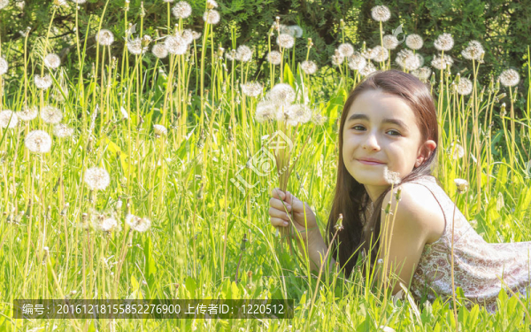 小女孩忙著在公園里吹蒲公英種子