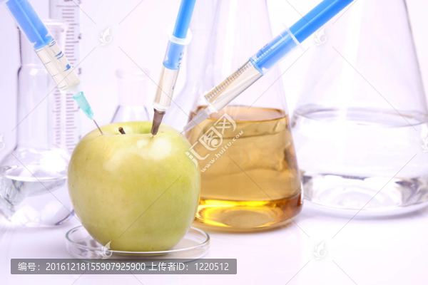 DNA的研究