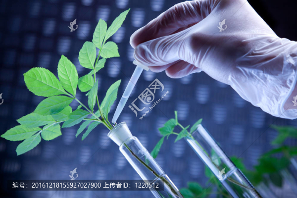 植物在實(shí)驗(yàn)室