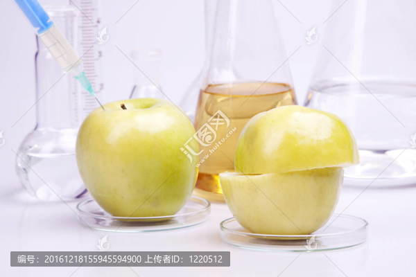 DNA的研究
