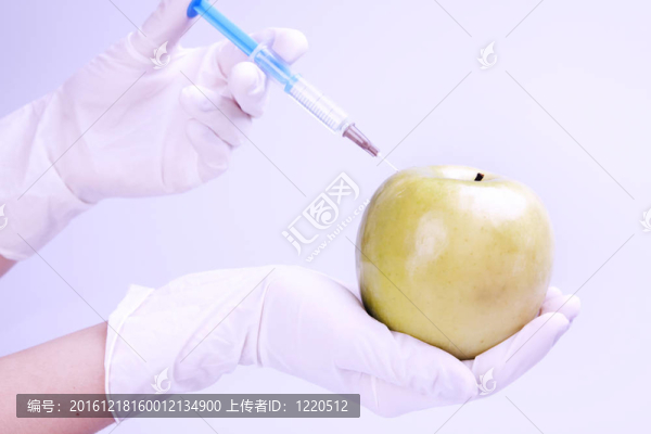 DNA的研究