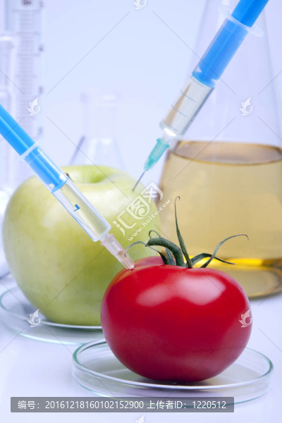 食品實驗
