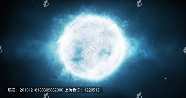 大明星