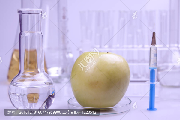 DNA的研究