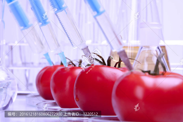 DNA的研究