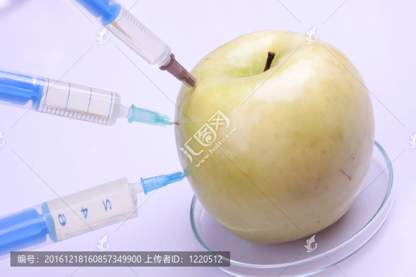 DNA的研究