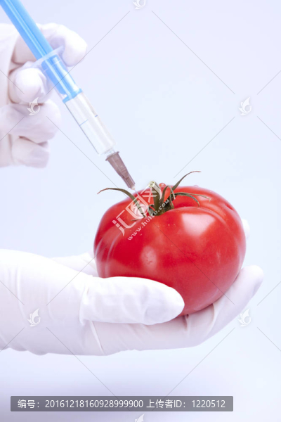 DNA的研究