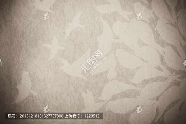 鳥抽象背景或紋理