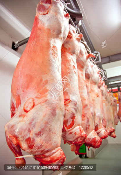 肉制品廠