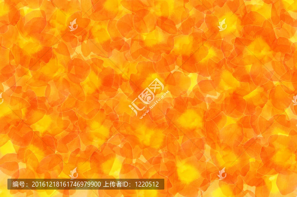 摘要花