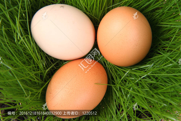 綠草如茵的復(fù)活節(jié)彩蛋