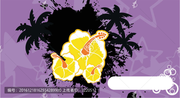 熱帶的芙蓉花backgro7