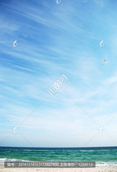 水；波浪；海洋；藍(lán)色；大自然；海浪；夏季