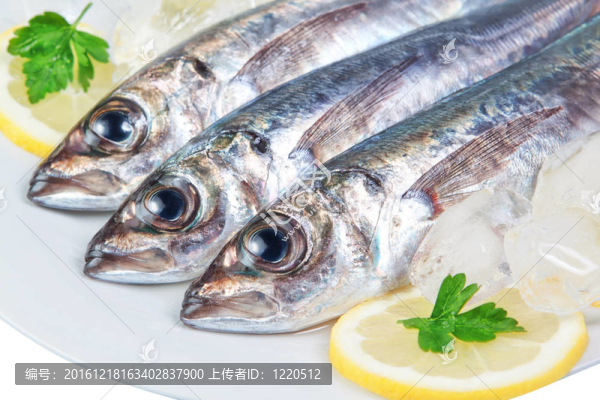 在宏三原料鯖魚。