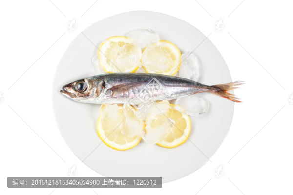 用檸檬在碗鯖魚。在白色背景上。