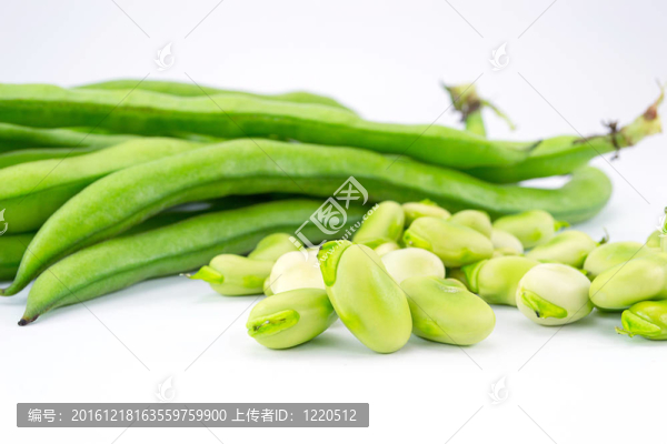 蠶豆
