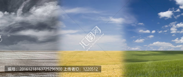 季節(jié)性的