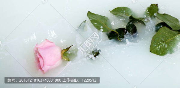 玫瑰水