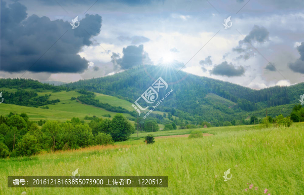 草地與藍天