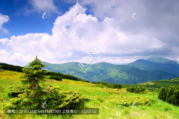 山地景觀