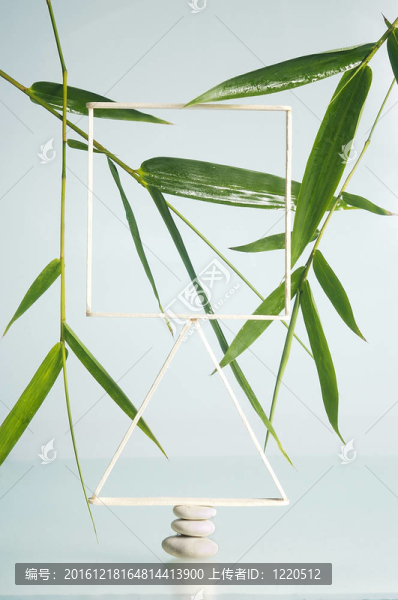 平衡的禪