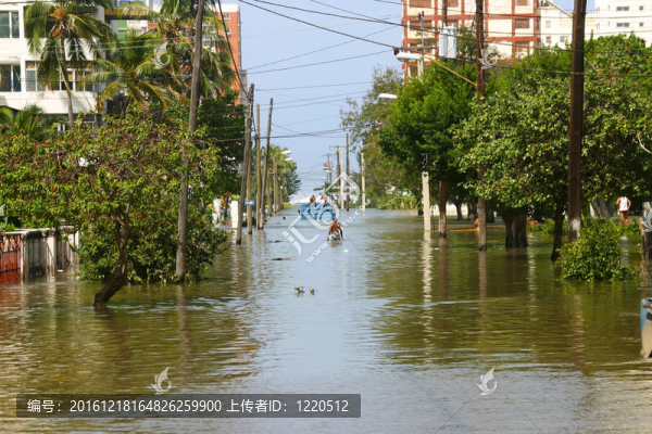 洪水淹沒了哈瓦那2005
