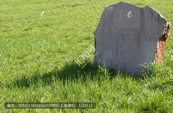 綠色草坪上的墓碑