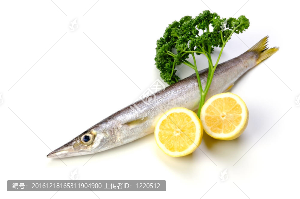 紅色的魚