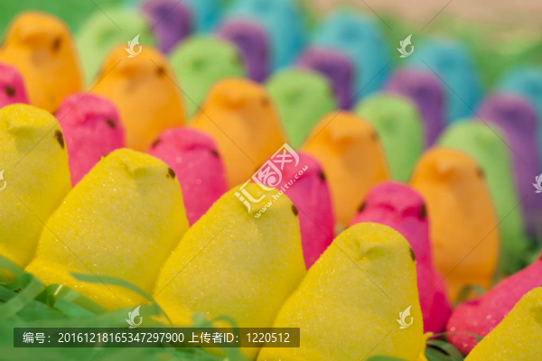 小雞棉花糖