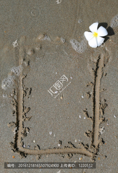 沙灘上的白花