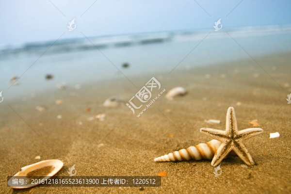 沙灘