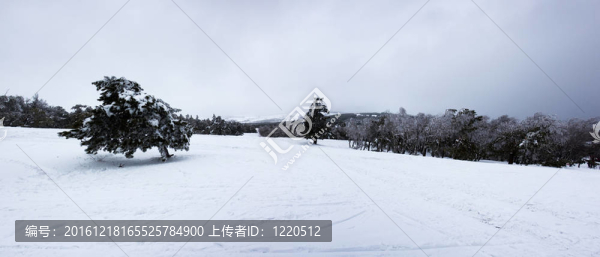 冬天的景色