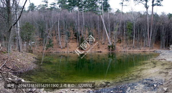森林湖