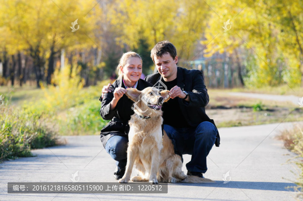 拉布拉多犬的家庭