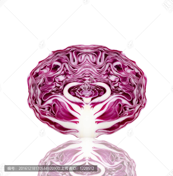 完美的紅卷心菜
