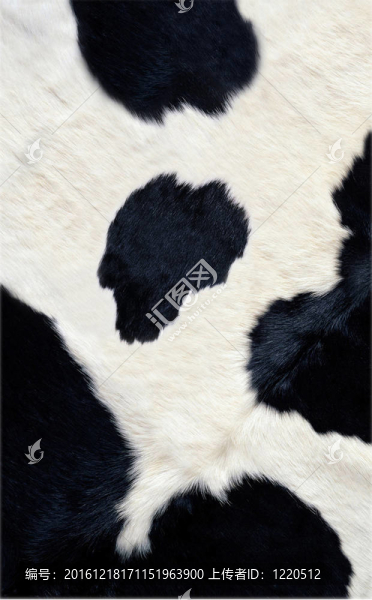 奶牛皮膚紋理