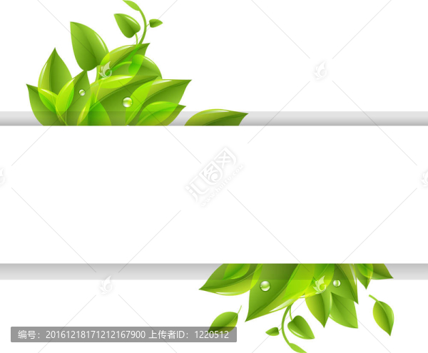 綠葉紙