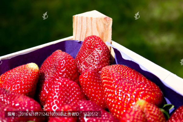 盒子里的草莓