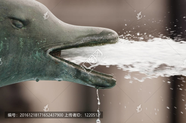 海豚噴泉