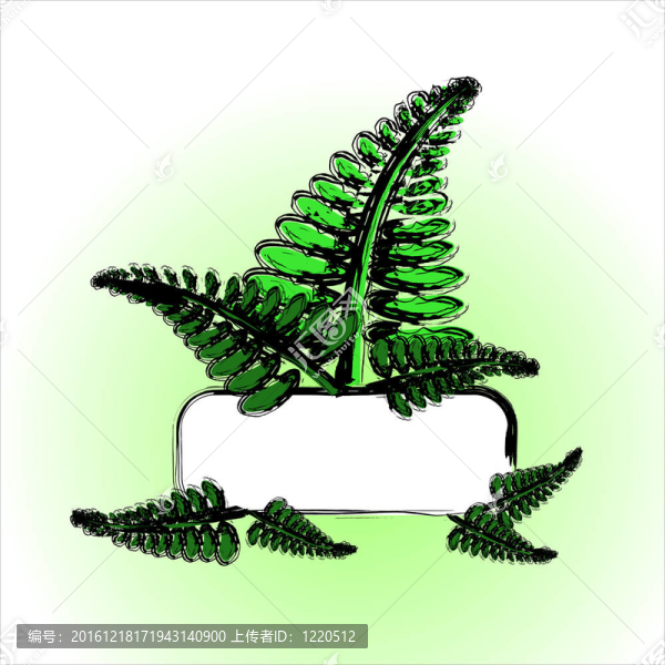 彩繪蕨名片