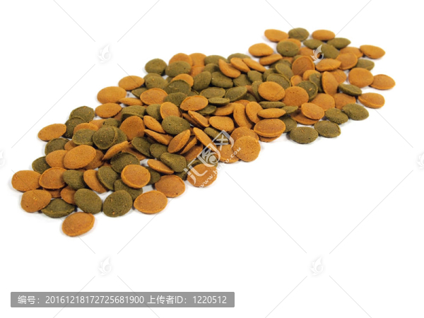 水族魚食品