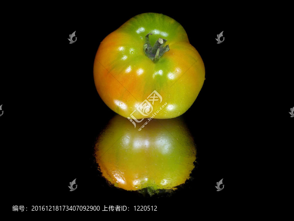 鮮食番茄
